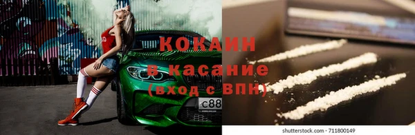 сатива Верея
