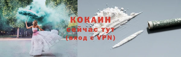 сатива Верея