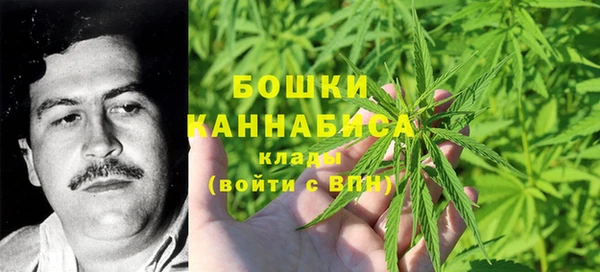 сатива Верея