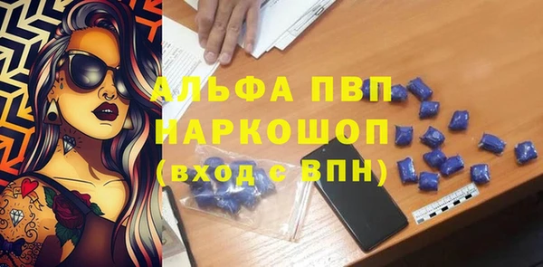 сатива Верея