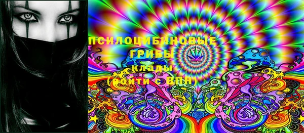 сатива Верея