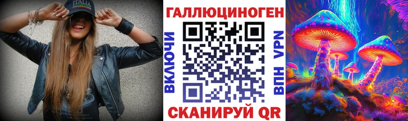 МЕГА зеркало  Выборг  Псилоцибиновые грибы мицелий 